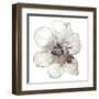 Floral-White-Victoria Brown-Framed Art Print