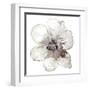 Floral-White-Victoria Brown-Framed Art Print