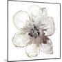 Floral-White-Victoria Brown-Mounted Art Print