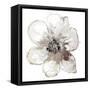 Floral-White-Victoria Brown-Framed Stretched Canvas