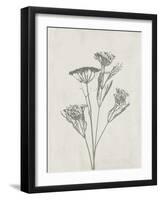 Floral Wild - Dill-Collezione Botanica-Framed Art Print