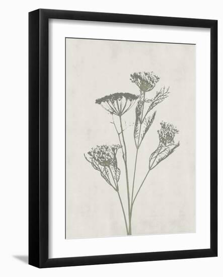 Floral Wild - Dill-Collezione Botanica-Framed Art Print