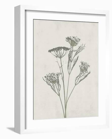 Floral Wild - Dill-Collezione Botanica-Framed Art Print