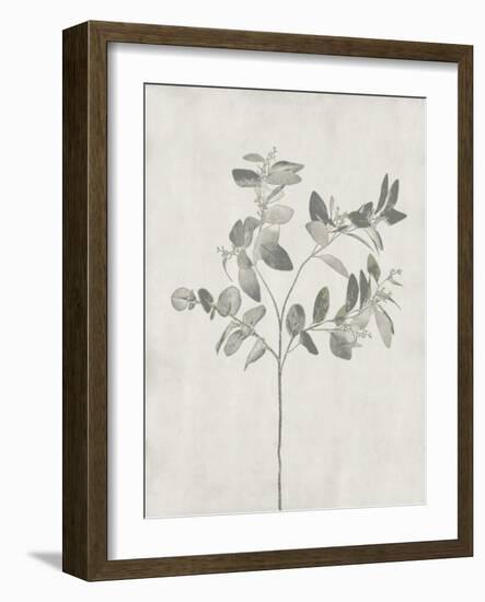 Floral Wild - Eucalyptus-Collezione Botanica-Framed Giclee Print