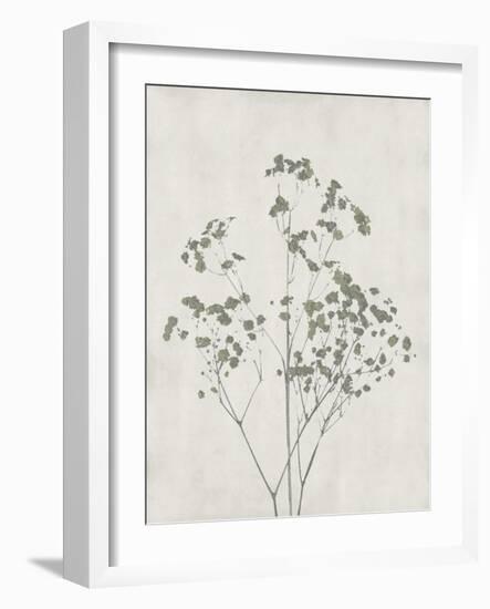 Floral Wild - Gypsophila-Collezione Botanica-Framed Giclee Print