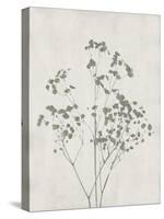 Floral Wild - Gypsophila-Collezione Botanica-Stretched Canvas