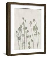 Floral Wild - Jimson-Collezione Botanica-Framed Giclee Print