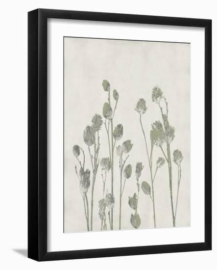 Floral Wild - Jimson-Collezione Botanica-Framed Giclee Print