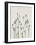 Floral Wild - Jimson-Collezione Botanica-Framed Giclee Print