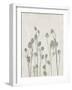 Floral Wild - Jimson-Collezione Botanica-Framed Giclee Print