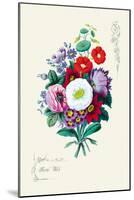 Floral Wish-null-Mounted Art Print