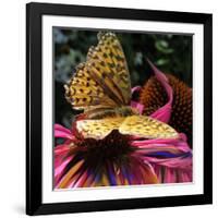 Floral Wonders 2-Brago-Framed Art Print