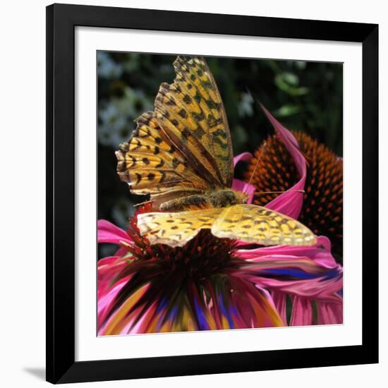Floral Wonders 2-Brago-Framed Art Print