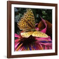 Floral Wonders 2-Brago-Framed Art Print