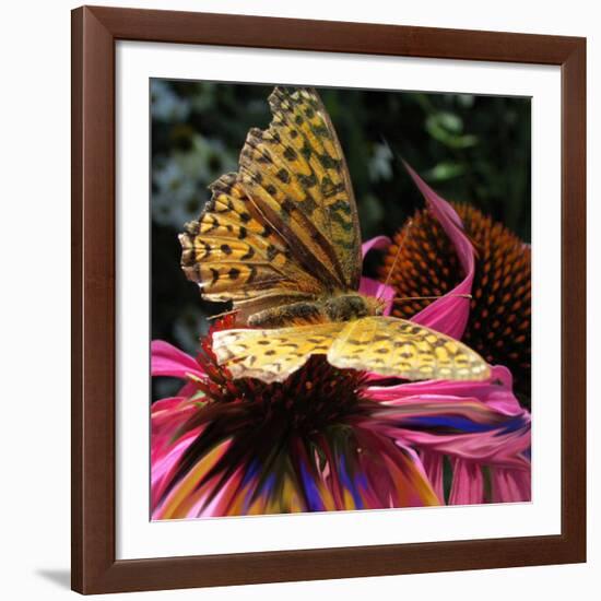 Floral Wonders 2-Brago-Framed Art Print