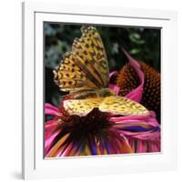 Floral Wonders 2-Brago-Framed Art Print