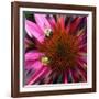 Floral Wonders 3-Brago-Framed Art Print