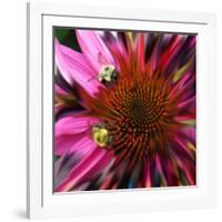 Floral Wonders 3-Brago-Framed Art Print