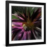 Floral Wonders 5-Brago-Framed Art Print