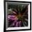 Floral Wonders 5-Brago-Framed Art Print