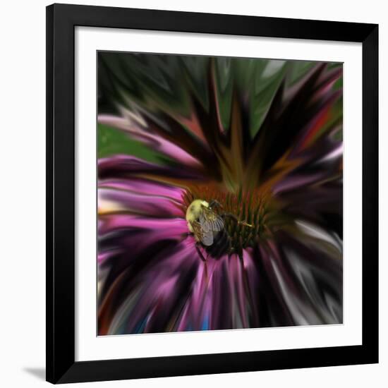 Floral Wonders 5-Brago-Framed Art Print