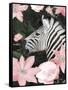 Floral Zebra-Diane Stimson-Framed Stretched Canvas