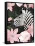 Floral Zebra-Diane Stimson-Framed Stretched Canvas