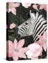 Floral Zebra-Diane Stimson-Stretched Canvas