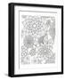 Floral-Pam Varacek-Framed Art Print