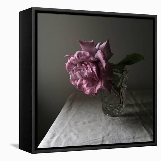 Florals In The Dark-Sarah Gardner-Framed Stretched Canvas