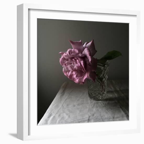 Florals In The Dark-Sarah Gardner-Framed Photo