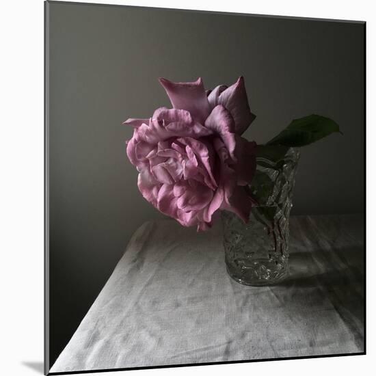 Florals In The Dark-Sarah Gardner-Mounted Photo