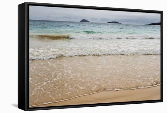 Floreana Island, Galapagos islands, Ecuador.-Sergio Pitamitz-Framed Stretched Canvas