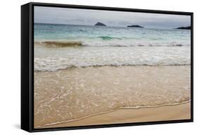 Floreana Island, Galapagos islands, Ecuador.-Sergio Pitamitz-Framed Stretched Canvas