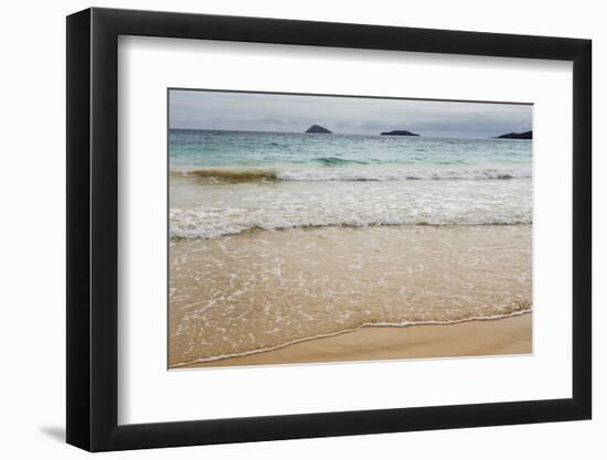 Floreana Island, Galapagos islands, Ecuador.-Sergio Pitamitz-Framed Photographic Print