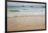 Floreana Island, Galapagos islands, Ecuador.-Sergio Pitamitz-Framed Photographic Print