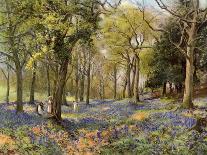 Wild Hyacinths in a Surrey Copse, 1906-Florence A Saltmer-Giclee Print