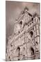 Florence Cathedral-Tupungato-Mounted Photographic Print