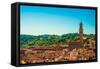 Florence. Cityscape-Romas_ph-Framed Stretched Canvas