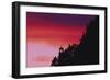 Florence, Devils Elbow State Park, Heceta Head Lighthouse at Sunset-Jamie & Judy Wild-Framed Photographic Print