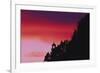 Florence, Devils Elbow State Park, Heceta Head Lighthouse at Sunset-Jamie & Judy Wild-Framed Photographic Print