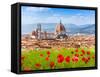 Florence, Duomo and Giotto's Campanile.-SerrNovik-Framed Stretched Canvas