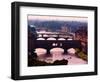 Florence, Florence Province, Tuscany, Italy. View to bridges across Arno river. Ponte Vecchio in...-null-Framed Photographic Print