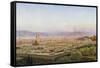 Florence from Bellosguardo-John Brett-Framed Stretched Canvas