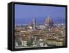 Florence from Piazzale Michaelangelo, Italy-Peter Thompson-Framed Stretched Canvas