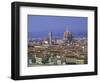 Florence from Piazzale Michaelangelo, Italy-Peter Thompson-Framed Photographic Print