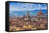 Florence, Italy - View of the City and Cathedral Santa Maria Del Fiore-Gorilla-Framed Stretched Canvas