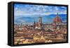 Florence, Italy - View of the City and Cathedral Santa Maria Del Fiore-Gorilla-Framed Stretched Canvas