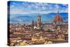 Florence, Italy - View of the City and Cathedral Santa Maria Del Fiore-Gorilla-Stretched Canvas