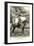 Florence La Duc, Roping Champion-null-Framed Art Print